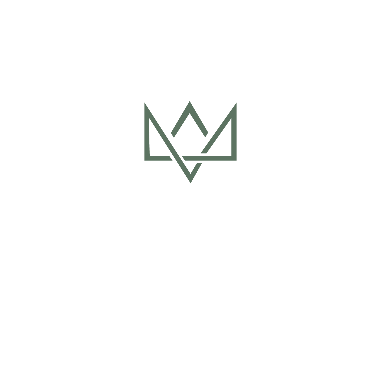 Queen City Townes logo